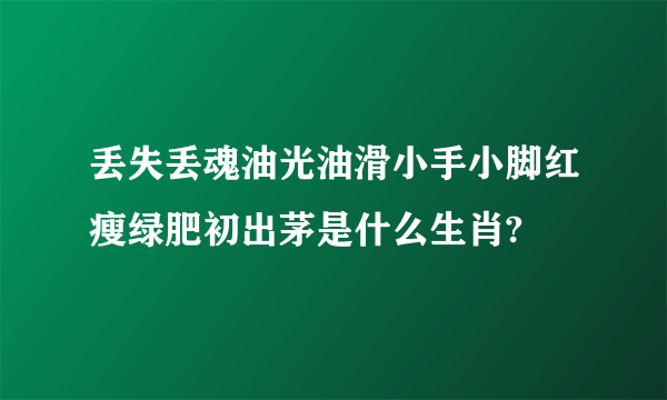 丢失丢魂油光油滑小手小脚红瘦绿肥初出茅是什么生肖?