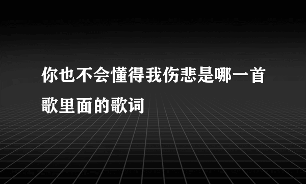 你也不会懂得我伤悲是哪一首歌里面的歌词