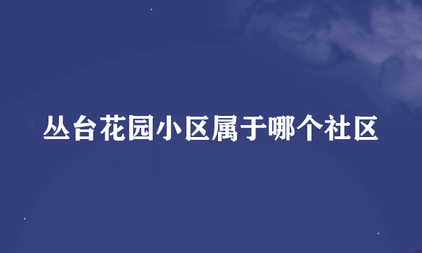 丛台花园小区属于哪个社区