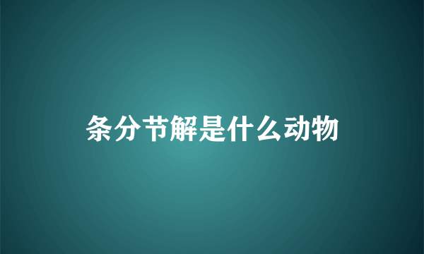 条分节解是什么动物