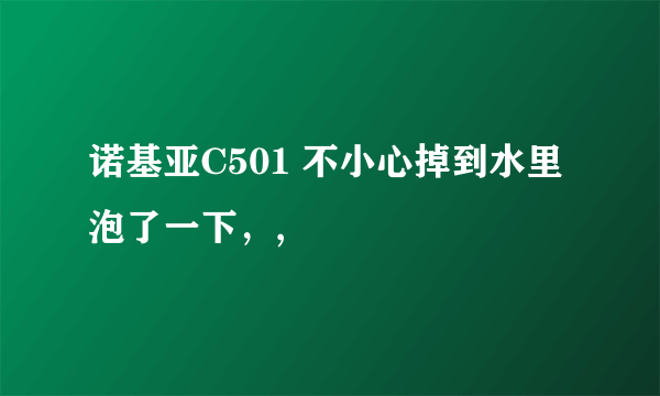 诺基亚C501 不小心掉到水里泡了一下，,