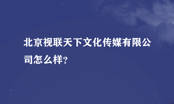 北京视联天下文化传媒有限公司怎么样？