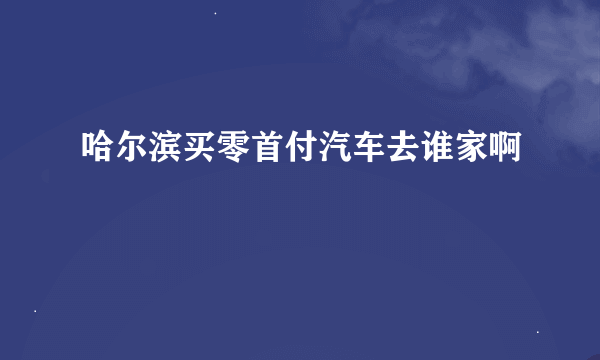 哈尔滨买零首付汽车去谁家啊