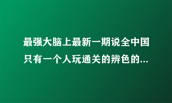 最强大脑上最新一期说全中国只有一个人玩通关的辨色的游戏叫什么？