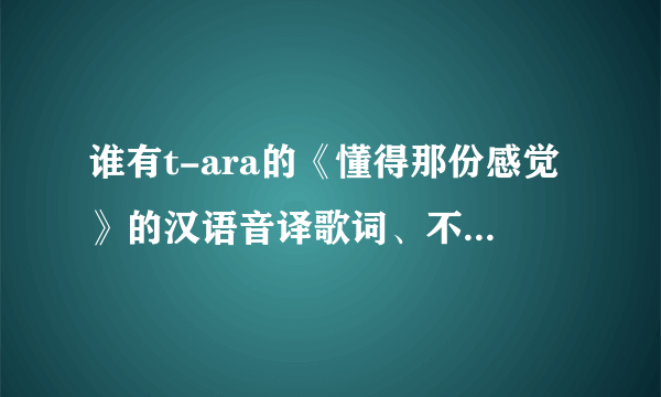 谁有t-ara的《懂得那份感觉》的汉语音译歌词、不要罗马语的…