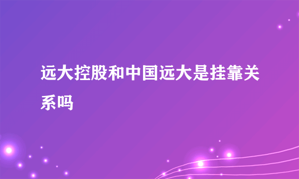 远大控股和中国远大是挂靠关系吗