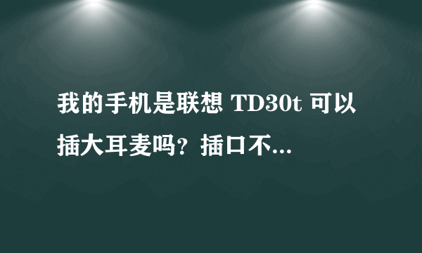 我的手机是联想 TD30t 可以插大耳麦吗？插口不一样啊！ 可以改吗？ 到修手机的地方 可以改吗？