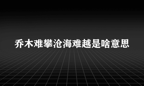 乔木难攀沧海难越是啥意思