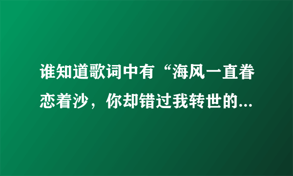 谁知道歌词中有“海风一直眷恋着沙，你却错过我转世的脸颊，你还爱我吗，我等你一句话”这首歌的歌名？