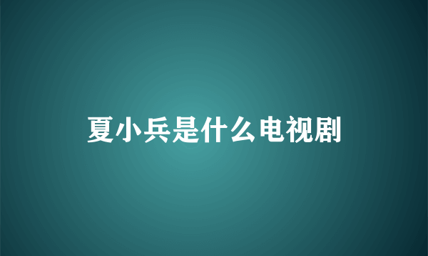 夏小兵是什么电视剧