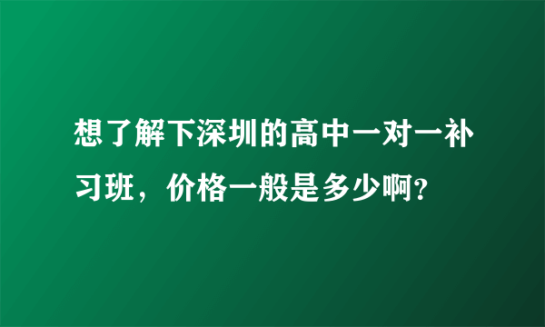 想了解下深圳的高中一对一补习班，价格一般是多少啊？