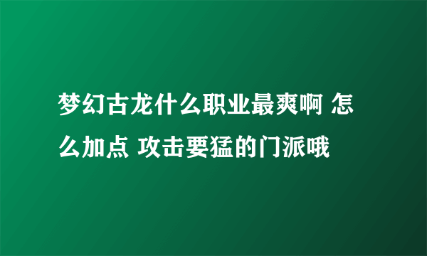 梦幻古龙什么职业最爽啊 怎么加点 攻击要猛的门派哦