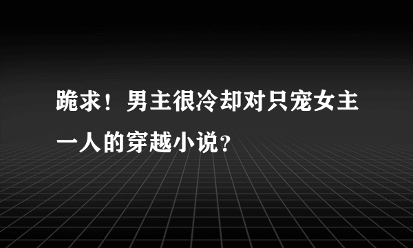 跪求！男主很冷却对只宠女主一人的穿越小说？