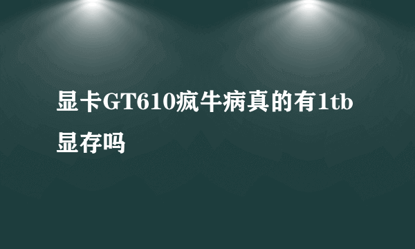 显卡GT610疯牛病真的有1tb显存吗