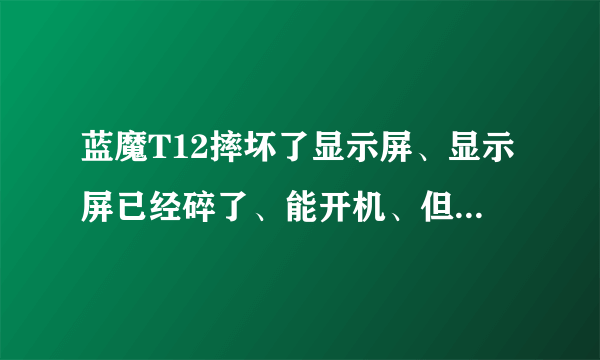 蓝魔T12摔坏了显示屏、显示屏已经碎了、能开机、但是显示屏是碎的、裂了几条缝、显示不出来。