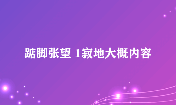 踮脚张望 1寂地大概内容