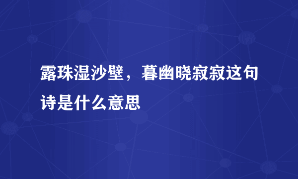 露珠湿沙壁，暮幽晓寂寂这句诗是什么意思