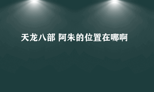 天龙八部 阿朱的位置在哪啊