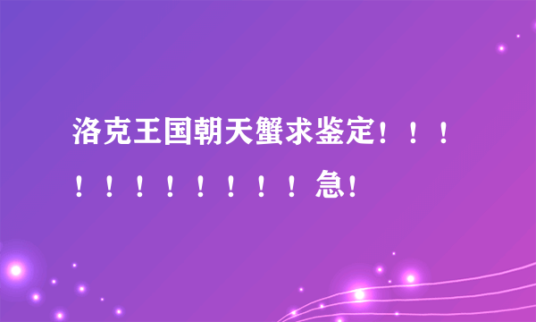 洛克王国朝天蟹求鉴定！！！！！！！！！！！急！