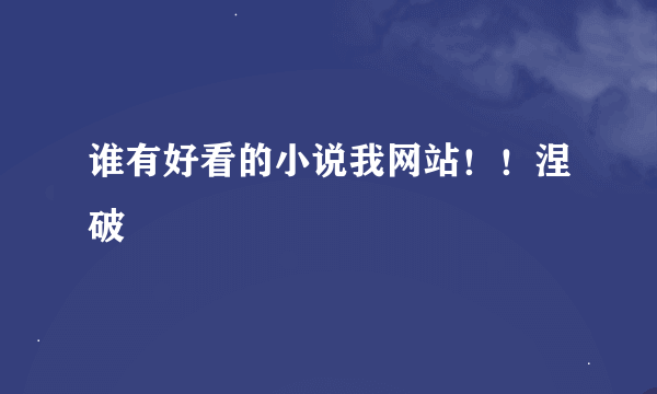 谁有好看的小说我网站！！涅破