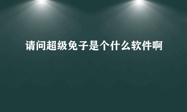 请问超级免子是个什么软件啊