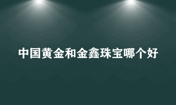 中国黄金和金鑫珠宝哪个好