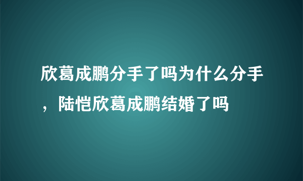 欣葛成鹏分手了吗为什么分手，陆恺欣葛成鹏结婚了吗