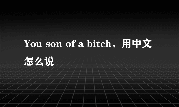 You son of a bitch，用中文怎么说