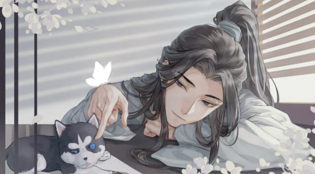 二哈和他的白猫师尊结局