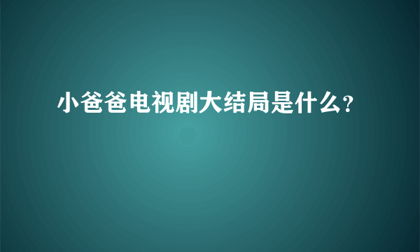 小爸爸电视剧大结局是什么？