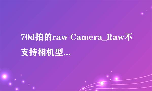 70d拍的raw Camera_Raw不支持相机型号啊怎么办 lightroom3.6也读不了