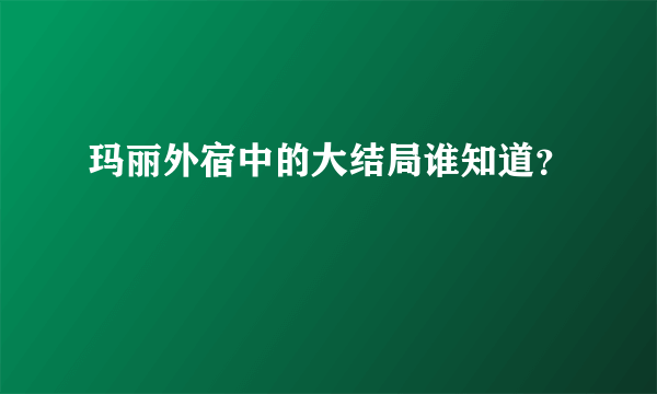 玛丽外宿中的大结局谁知道？