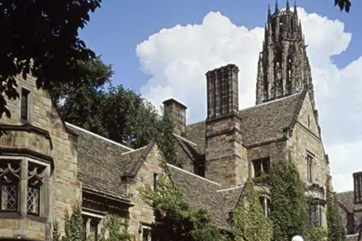 yale university是什么大学