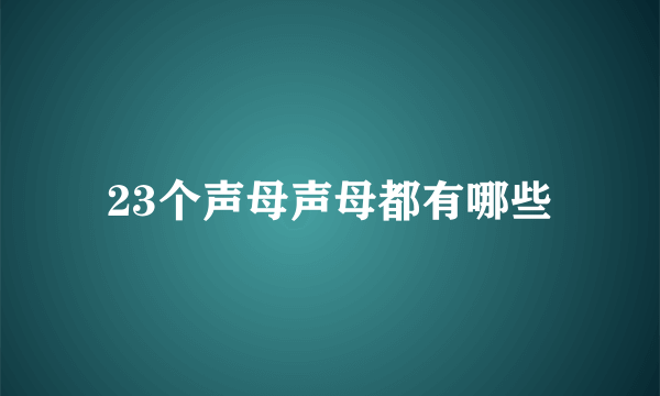 23个声母声母都有哪些