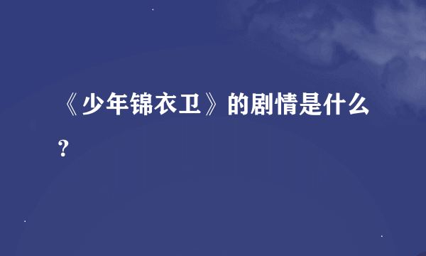 《少年锦衣卫》的剧情是什么？