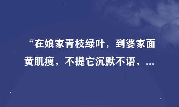 “在娘家青枝绿叶，到婆家面黄肌瘦，不提它沉默不语，一提它泪如雨下”你知道了吗？请打一物……