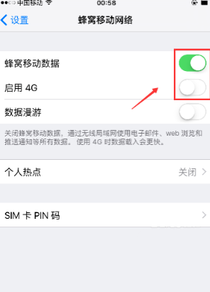 苹果的数据流量开关在那里
