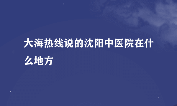 大海热线说的沈阳中医院在什么地方