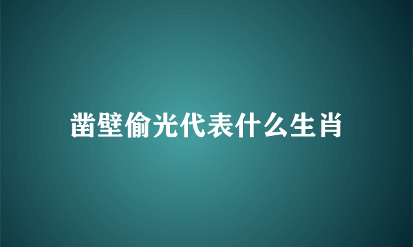 凿壁偷光代表什么生肖