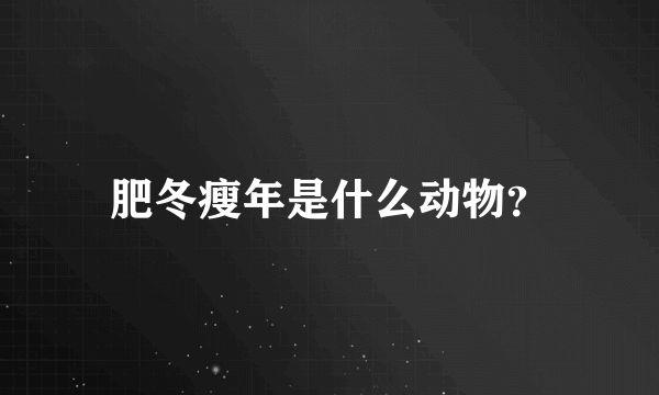 肥冬瘦年是什么动物？