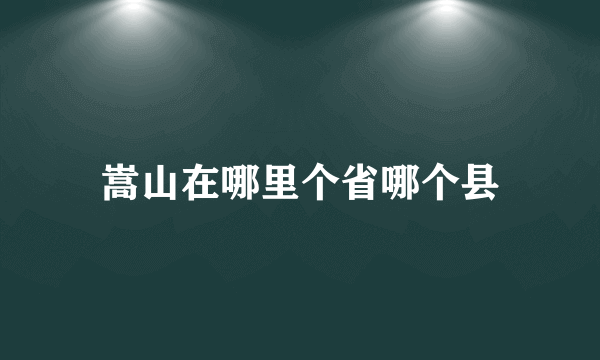 嵩山在哪里个省哪个县