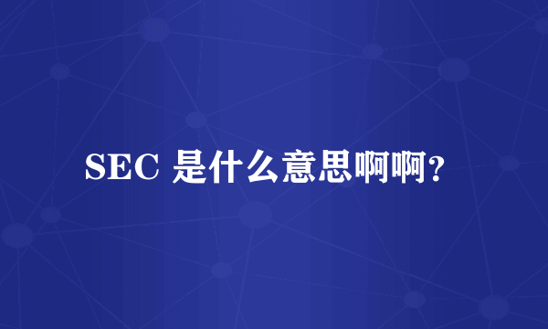 SEC 是什么意思啊啊？