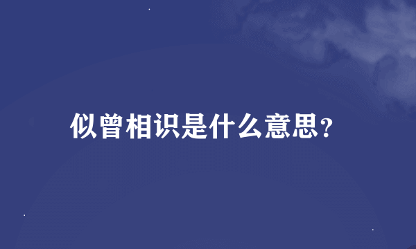 似曾相识是什么意思？