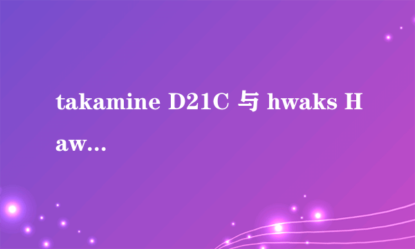 takamine D21C 与 hwaks Hawks D-56M 哪款吉他更好呢？