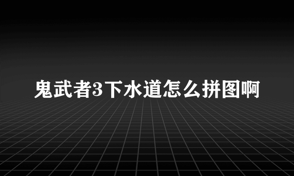 鬼武者3下水道怎么拼图啊