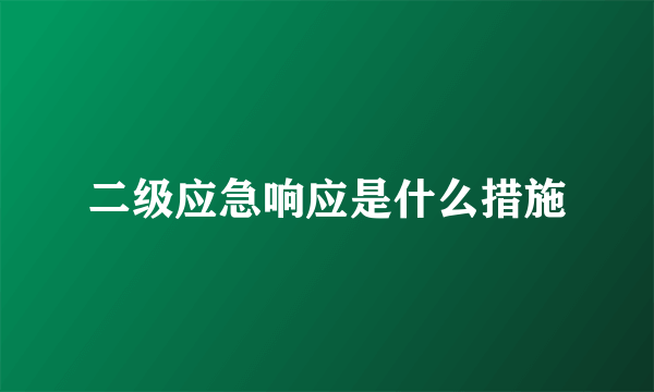 二级应急响应是什么措施