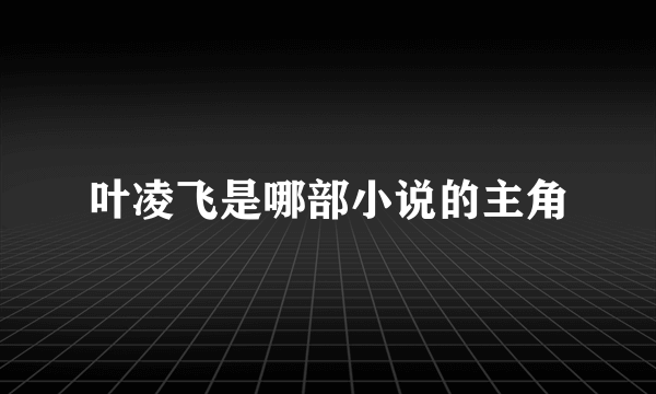 叶凌飞是哪部小说的主角