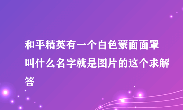 和平精英有一个白色蒙面面罩叫什么名字就是图片的这个求解答