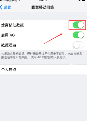 苹果的数据流量开关在那里