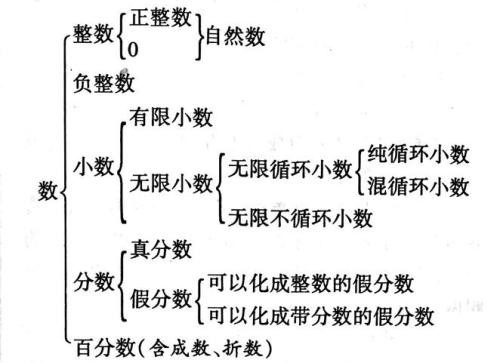 整数的定义是什么